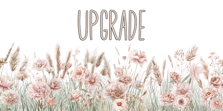 Upgrade
