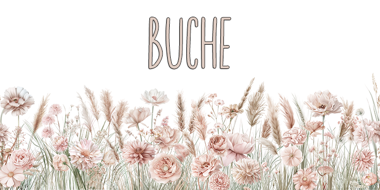 Buche